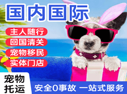 白山机场快递国际宠物托运 【国